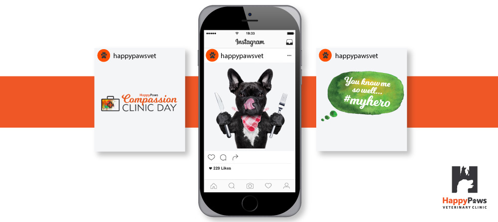 Happy-Paws-portfolio-4