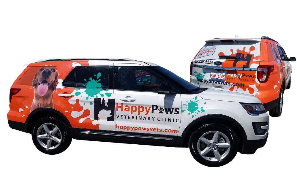 Happy-Paws-portfolio-3