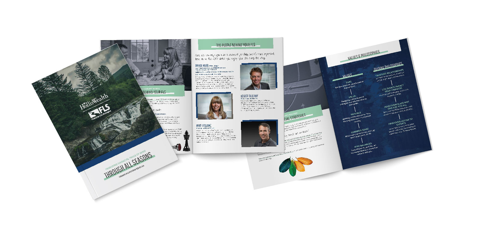 Financial Life Strategies